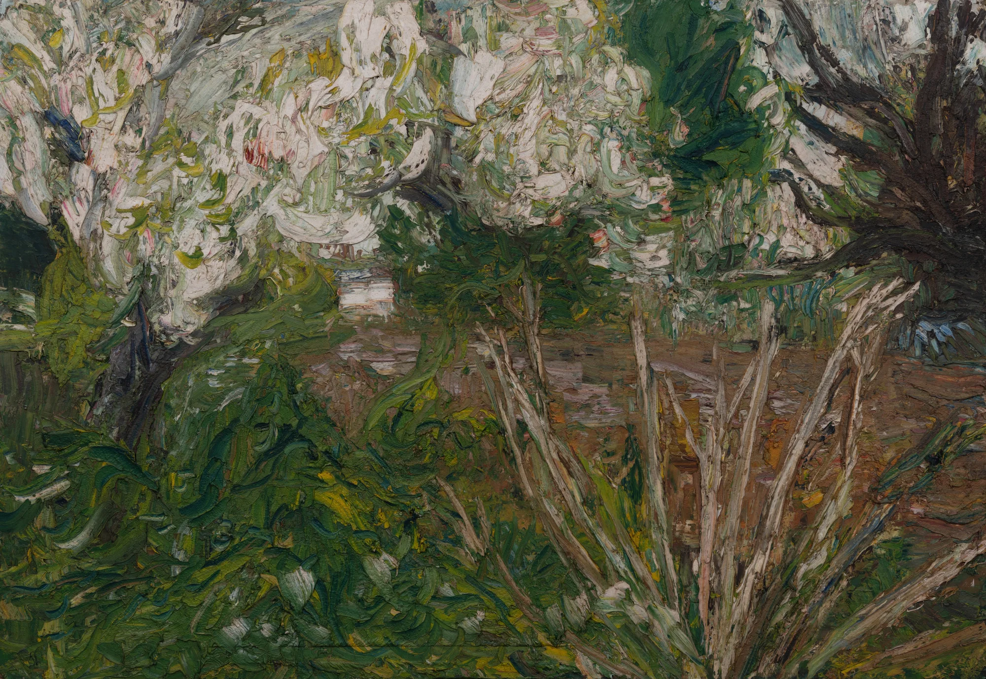 Apple Tree in Blossom, Mulberry Tree and Golden Rod Sticks
